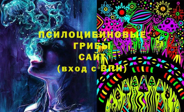 гашик Пестово