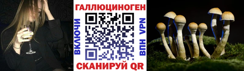 продажа наркотиков  Семёнов  Псилоцибиновые грибы прущие грибы 